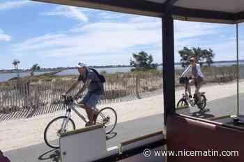 Il avait transporté (gratuitement) plus de 44.000 passagers durant l’été 2025 : le petit train de la presqu’île de Giens, à Hyères, va faire son grand retour