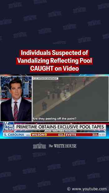 CAUGHT ON VIDEO: Suspects vandalizing the Reflecting Pool