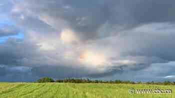 A surprise rainbow: Enjoy these photos from around New Brunswick