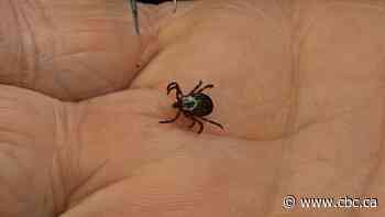 ‘You’re going to be naked’: Thorough tick checks the new norm as parasitic pests spread