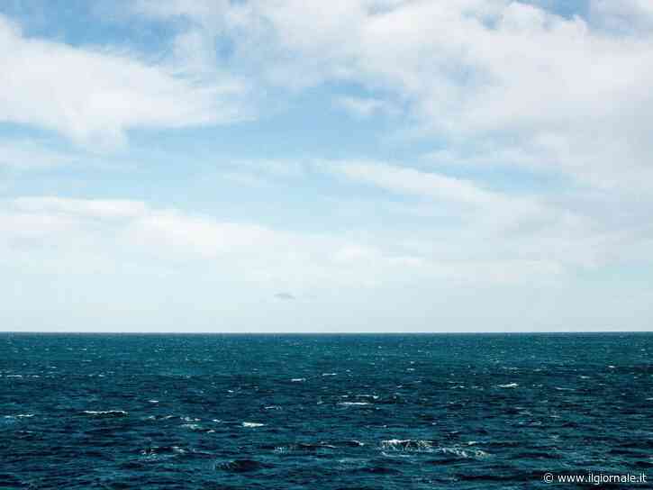 Allarme in mare, il caldo fa proliferare il batterio Vibrio: i rischi per i bagnanti