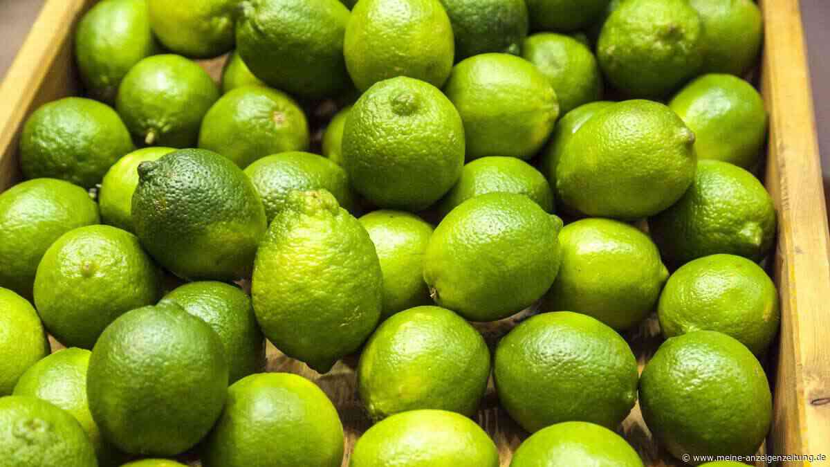 Nie wieder Limetten wegwerfen: So bleiben sie bis zu 8 Monate frisch