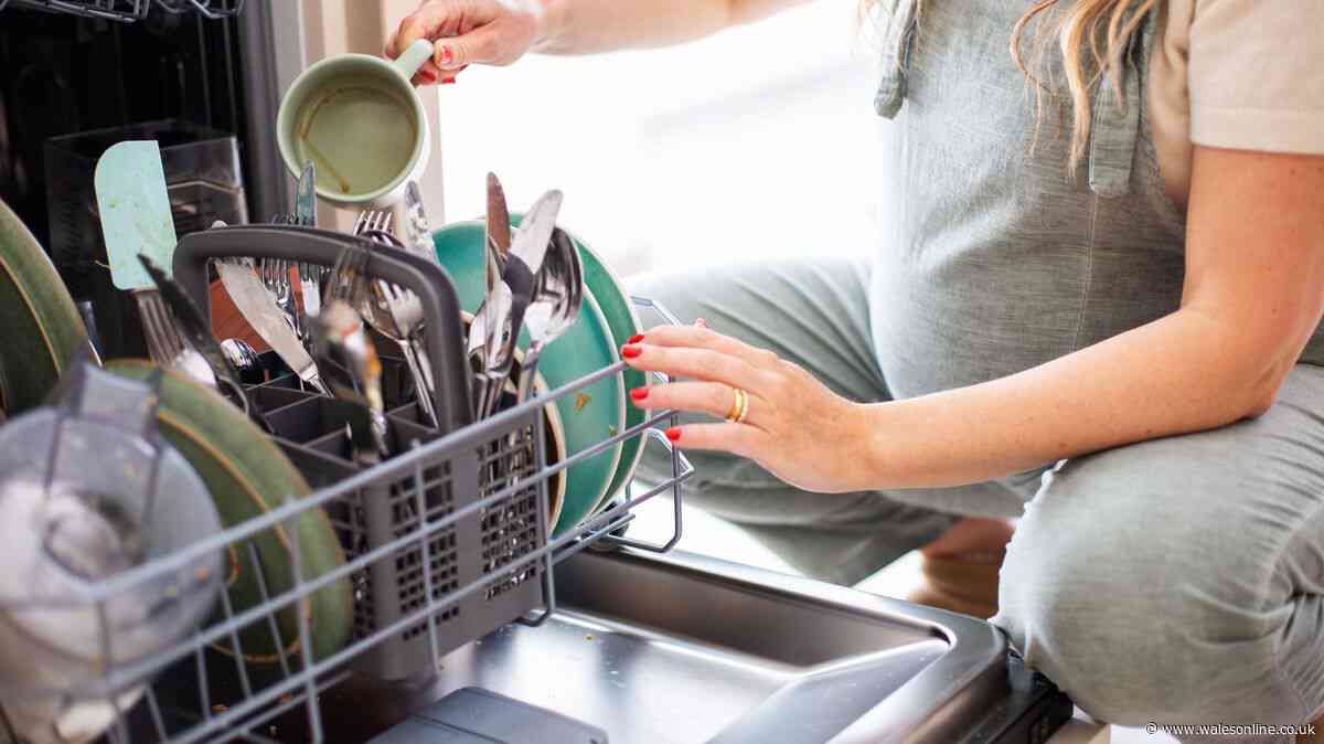 Anyone who uses a dishwasher urged not to put 'innocent' liquid inside