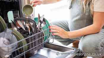 Anyone who uses a dishwasher urged not to put 'innocent' liquid inside