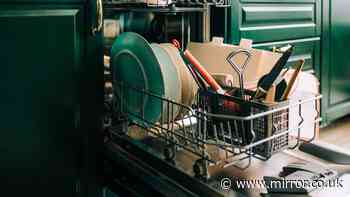Dishwasher users told to stop pouring 'innocent' liquid in them