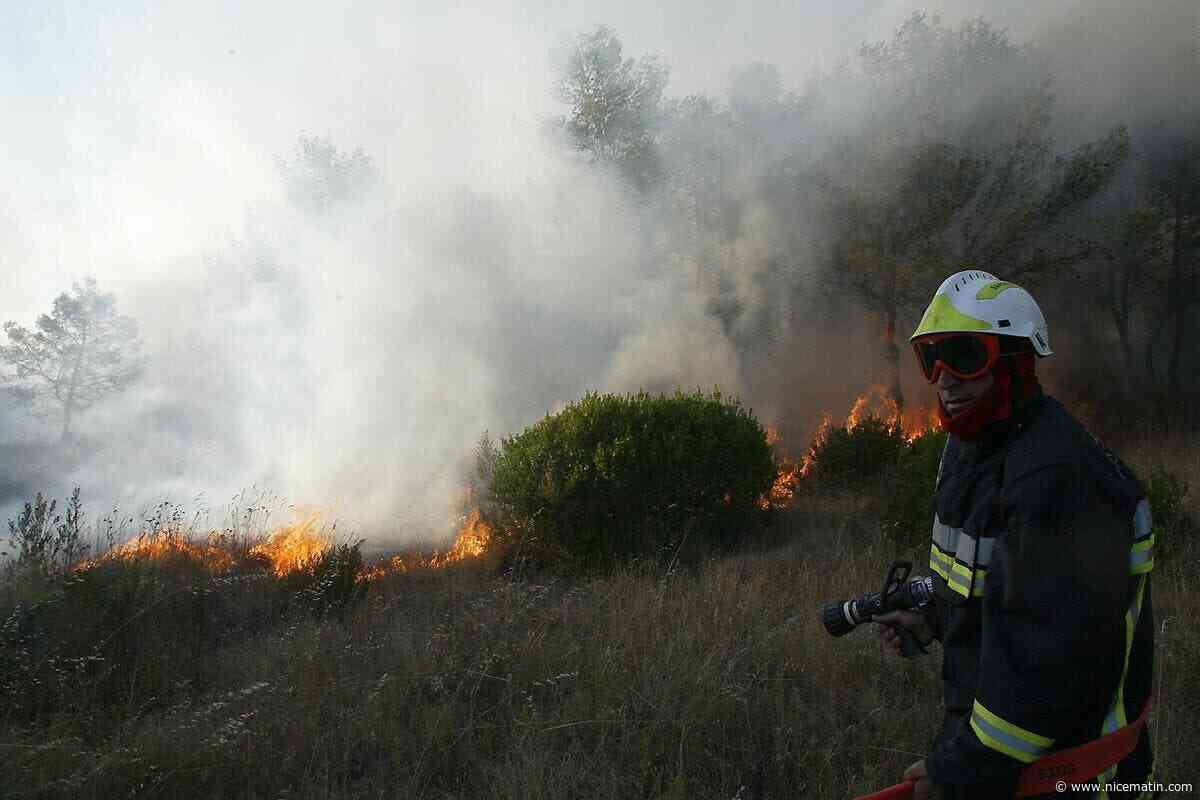 Un incendie d’espace naturel rapidement fixé par les pompiers au Luc ce dimanche matin