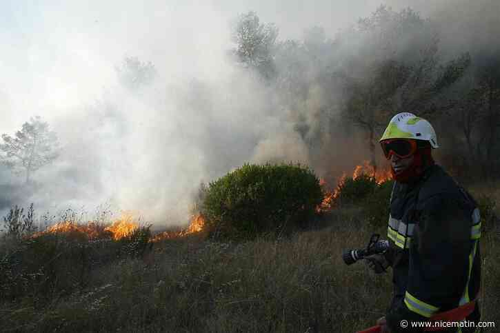 Un incendie d’espace naturel rapidement fixé par les pompiers au Luc ce dimanche matin