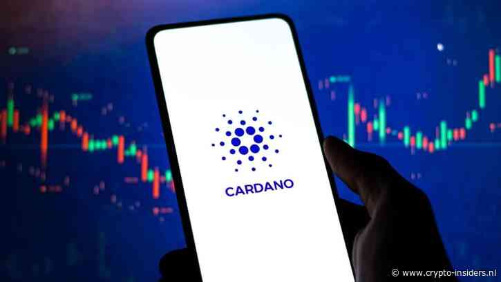 Cardano zakt naar laagste koers sinds 2020, analisten waarschuwen