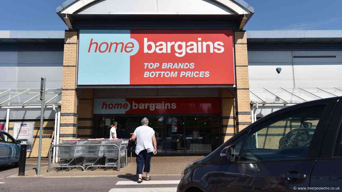 Home Bargains 99p decorations bring a 'lovely traditional look' to the garden