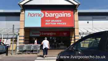 Home Bargains 99p decorations bring a 'lovely traditional look' to the garden