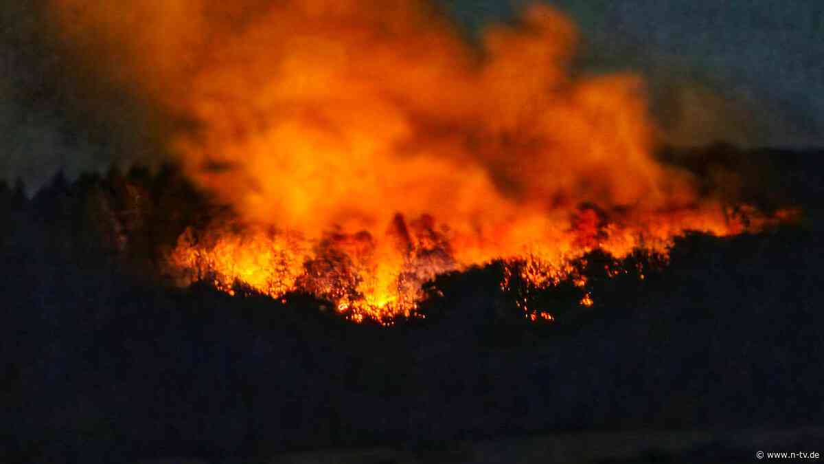 Brand bei Munitionslagern: Zwei Waldbrände mit Explosionsgefahr fordern die Feuerwehr heraus