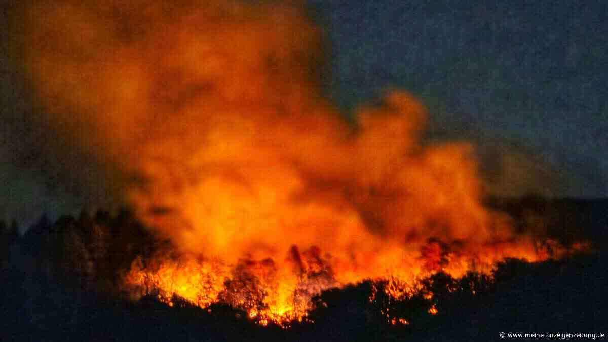 Großeinsätze gegen Waldbrände in Gebieten mit Kampfmitteln