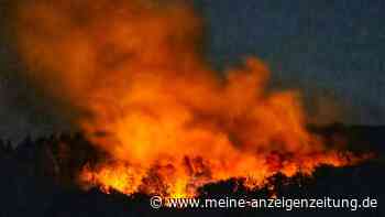 Großeinsätze gegen Waldbrände in Gebieten mit Kampfmitteln