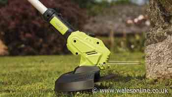 £46 off 'lightweight' cordless grass trimmer that 'does everything you want'