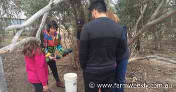 The essence of the big bird story is great news for the Kukerin community