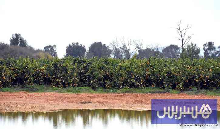 أمطار متفاوتة بالمملكة في 24 ساعة