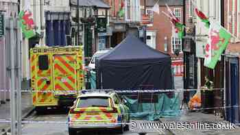 Murder investigation launched after man dies in town centre incident