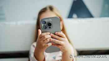 Separated parents must 'act now' as social media ban comes in - lawyers advice