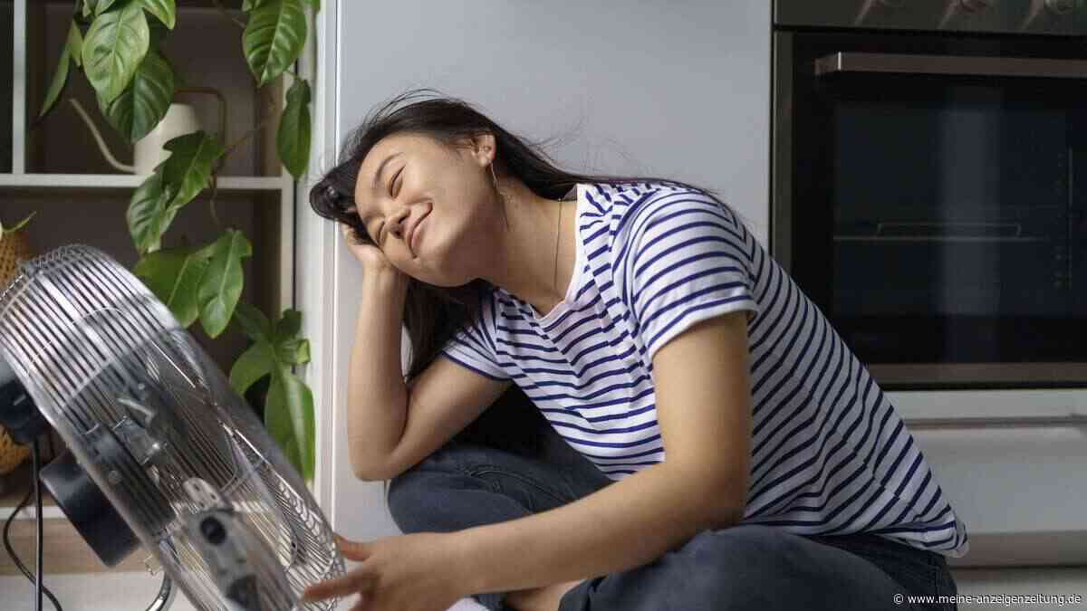 Wegen Hitzewelle: Ventilatoren und Klimaanlagen vielerorts ausverkauft