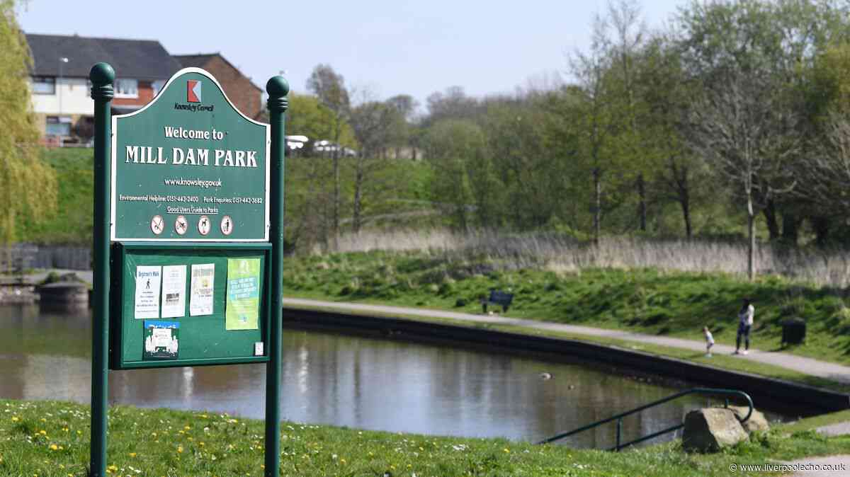 Mill Dam Park update as new food site plans confirmed