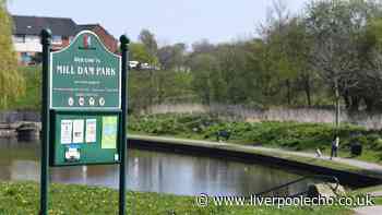 Mill Dam Park update as new food site plans confirmed
