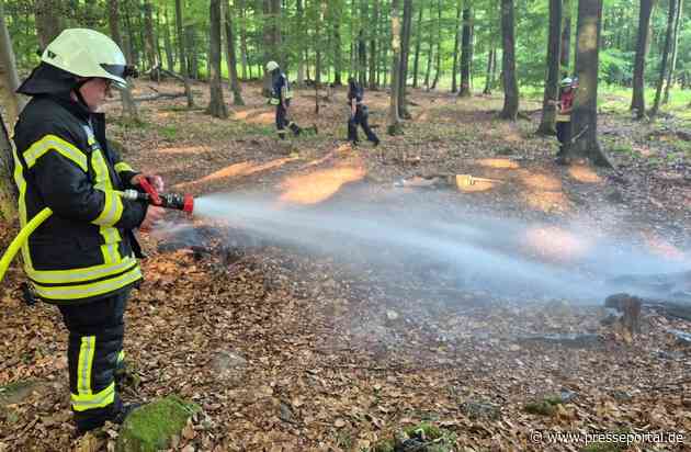 FW VG Westerburg: Aufmerksame Spaziergängerin meldet Rauchentwicklung im Wald - Feuerwehr verhindert großen Waldbrand