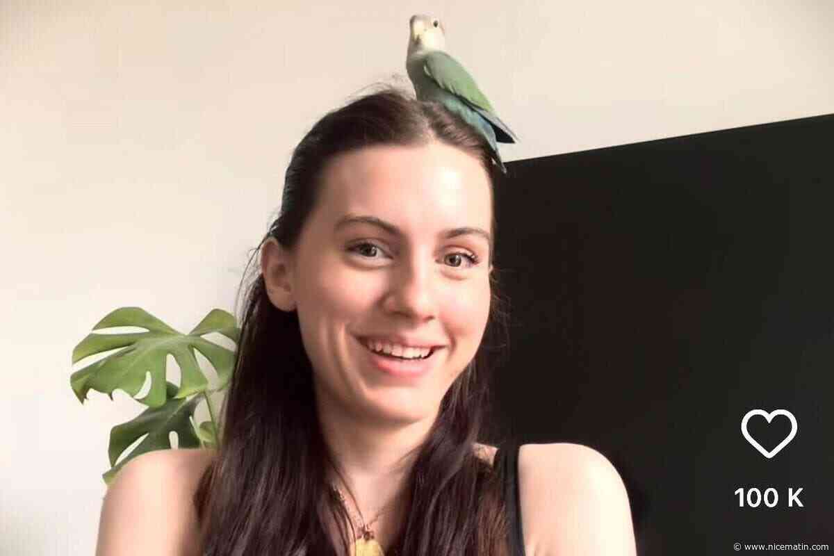 À qui appartient « Mademoiselle Pimprenelle », cet inséparable qui squatte chez une instagrameuse niçoise ?