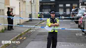 Knifeman attacks two men before grabbing dog