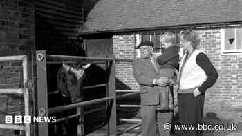 Home of Lee Miller to be run as charity, son says