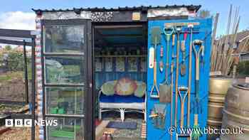 Nominees vie for Shed of the Year award win