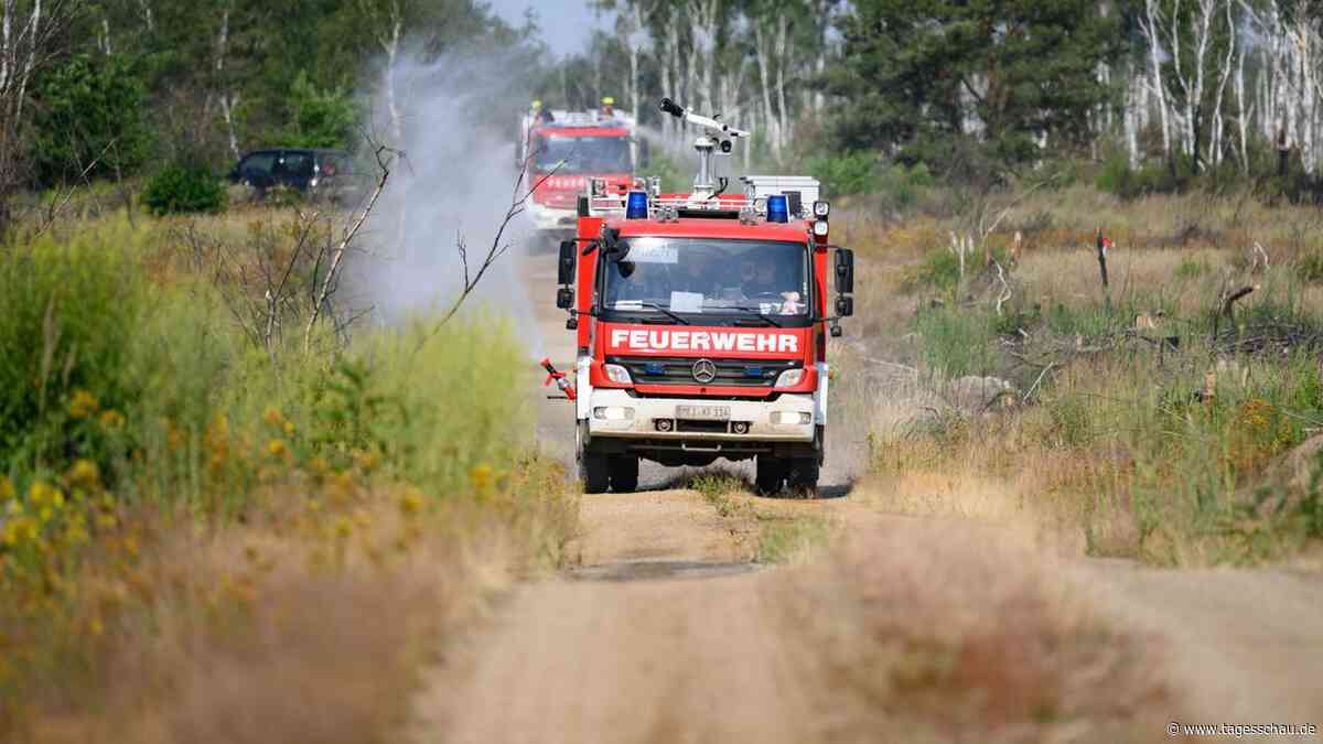 Feuerwehren im Großeinsatz: Kampf gegen Waldbrände - und die Munition im Boden