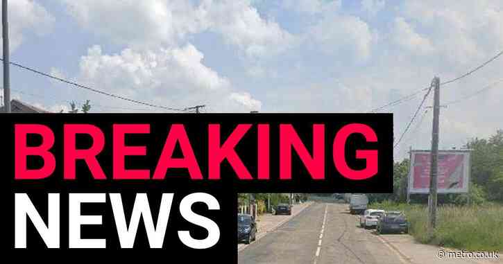 Eleven killed after tourist plane ‘carrying skydivers’ crashes in France
