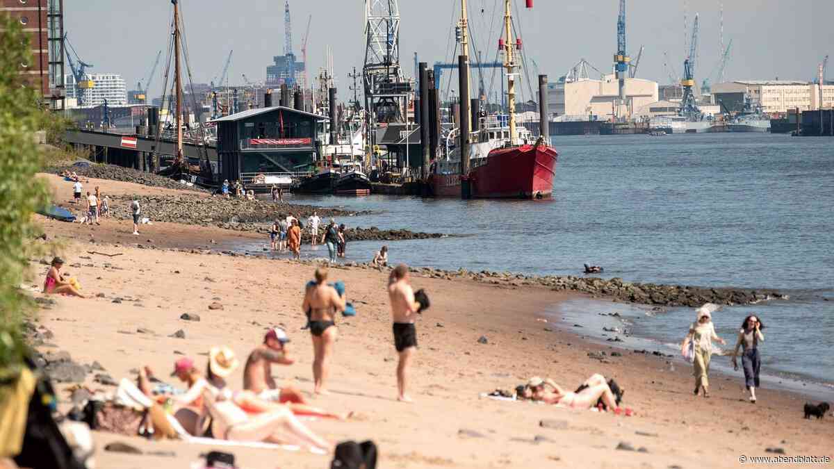 Elbe wärmt sich sehr auf: Fischsterben wegen akuten Sauerstoffmangels befürchtet