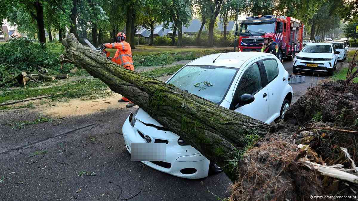 Verzekeraars: vooral meldingen over schade door bliksem en hagel