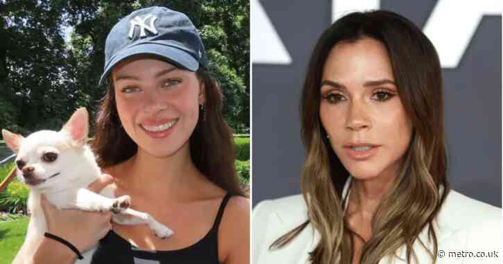Nicola Peltz suddenly parts ways with charity Victoria ‘refused to support’