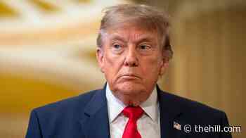 Trump slams new book about presidency by NYT reporters, alleges it’s ‘mostly made up’