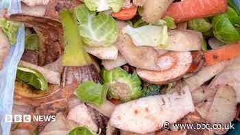 Food waste collections delayed until next year