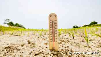 Heat Wave Safety: Track Your Risk With This Online Tool