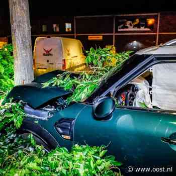 Auto ramt boom in Enschede, bestuurder vlucht na botsing