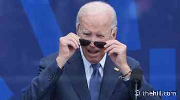 Biden rips Trump over Reflecting Pool, other DC projects: 'What a loser'