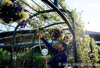 Wimbledon's most iconic flowers under threat as London heatwaves drive need for drought-friendly plants