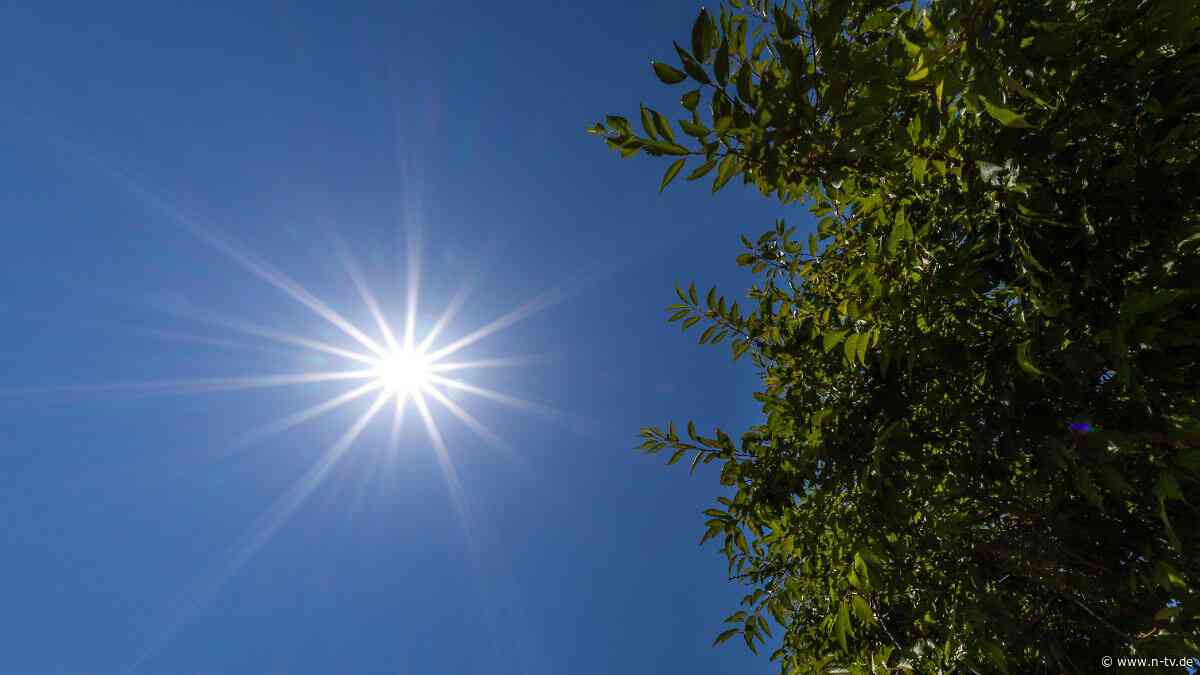 41,7 Grad in Brandenburg: Wieder neuer Temperaturrekord in Deutschland