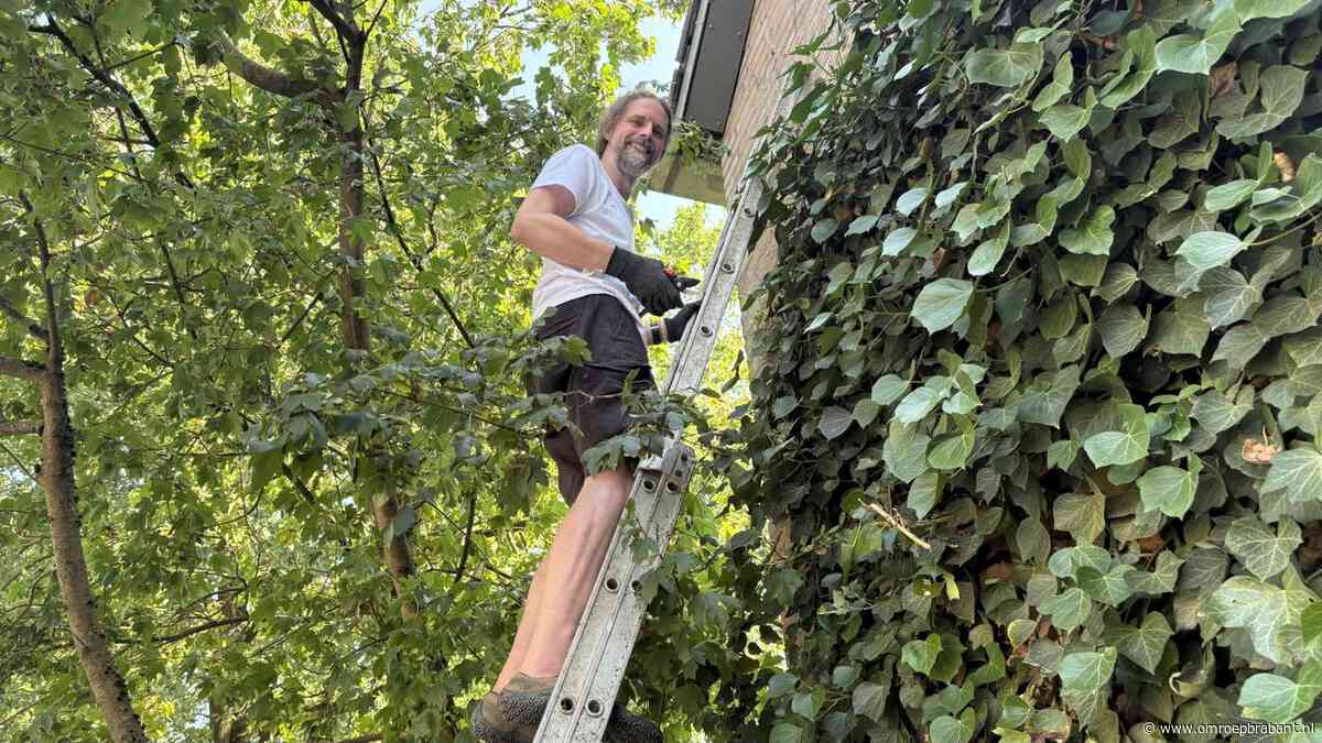 Juist groene nieuwbouwwijk heter dan gedacht: 'Moeten de zon beter weren'