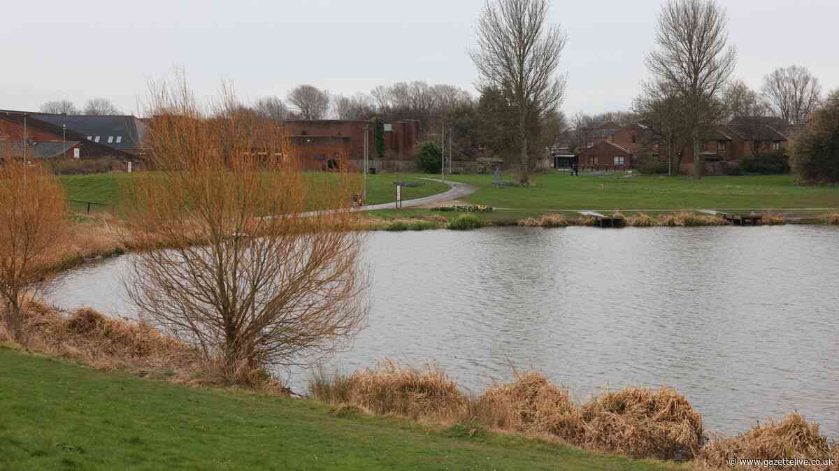 Police destroy dog after attack near Hemlington Lake as woman and pet injured