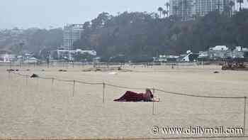 'Hollywood by the Sea' that was the backdrop to Baywatch is dubbed 'Sleeping Bag Beach' after being flooded with homeless people leaving locals living in fear'