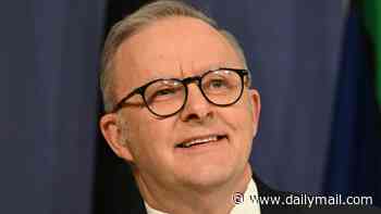 New poll shows Anthony Albanese and Labor have clawed back ground from One Nation following property tax backdowns and Pauline Hanson's 'monoculture' push - but it's still dire straits for the Coalition