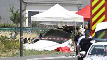 Eleven dead after plane carrying skydivers crashes in France during take-off: Nurses participating in 'introductory sky jump' among victims