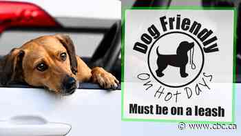 Cranbrook dog-friendly sticker campaign highlights summer pet safety risks