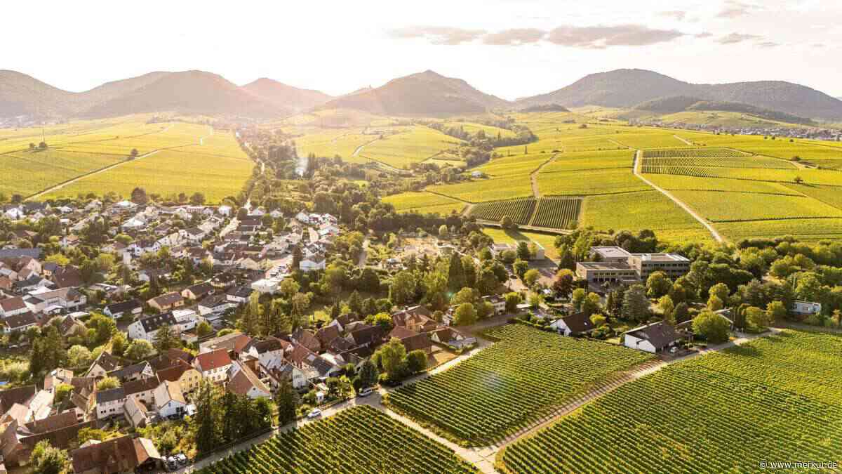 Deutsche Toskana: Diese Orte in Deutschland erinnern an einen Urlaub in Italien