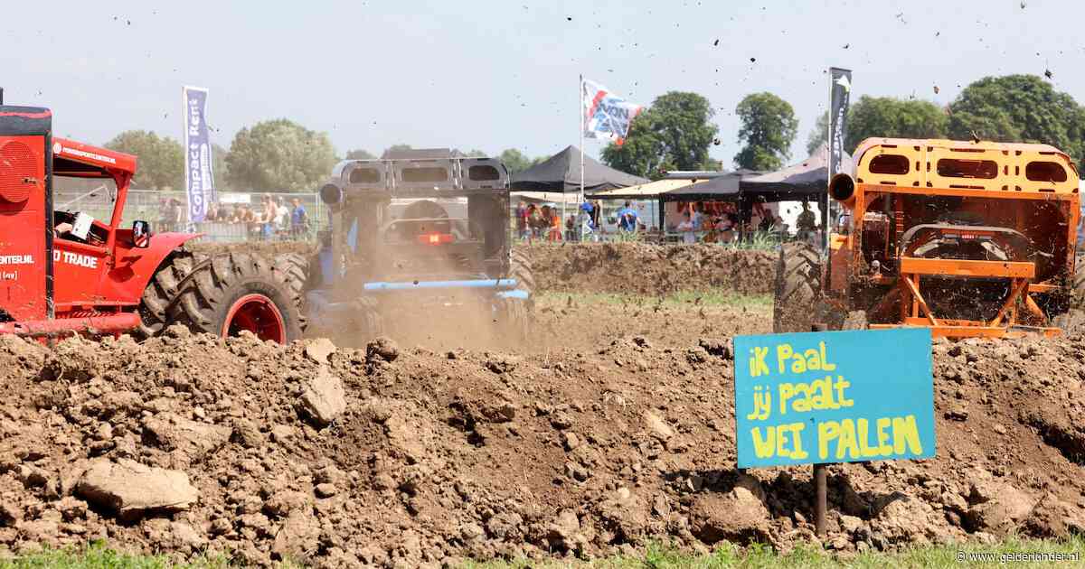 Ze moesten ooit graan dorsen, nu racen ze door een weiland: ‘Het is zo leuk als ze over de kop gaan’